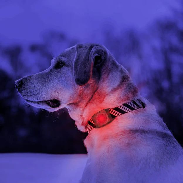 KURGO | Molle LED Light