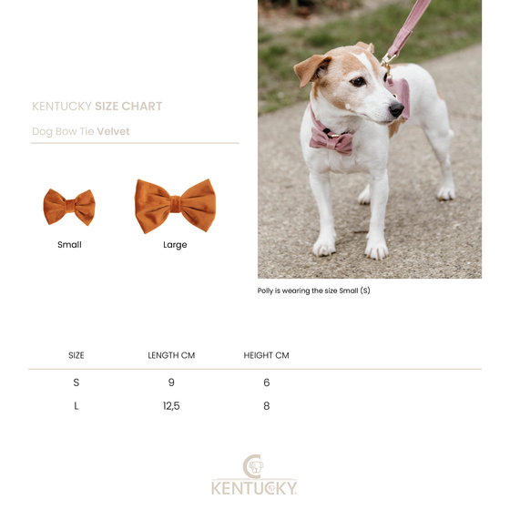 KENTUCKY DOGWEAR | Hondenstrikje Velvet - Oud Roze