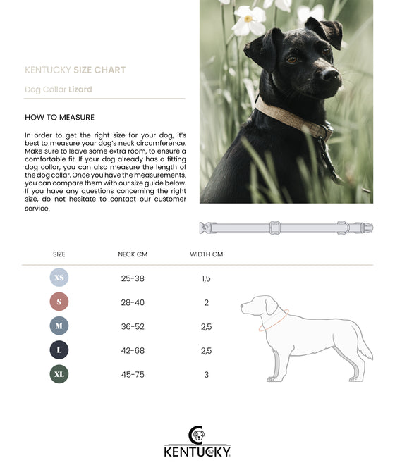 KENTUCKY DOGWEAR | Lizard Halsband - Bruin