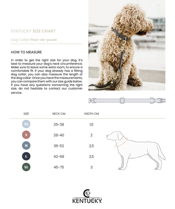KENTUCKY DOGWEAR | Pied-de-Poule Halsband