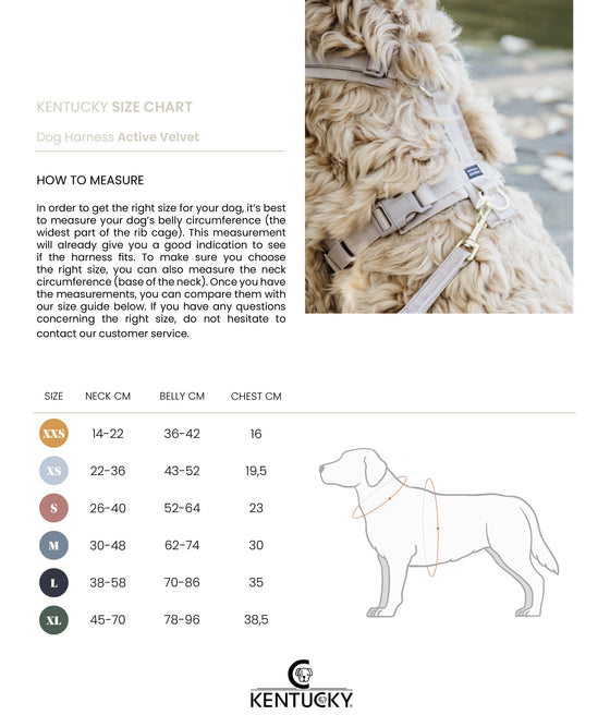 KENTUCKY DOGWEAR | Active Velvet Harnas - Dennengroen