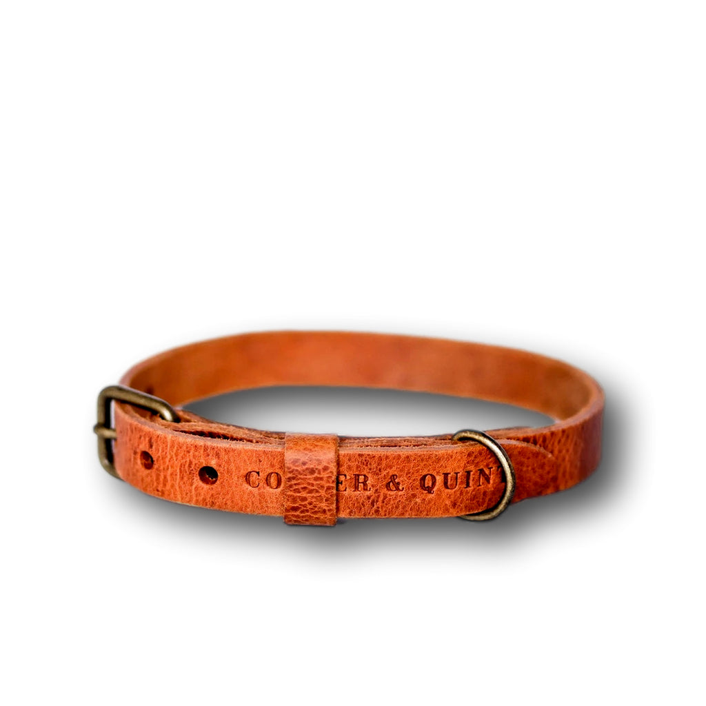 COOPER & QUINT | No Fuss Leather Collar - Camel