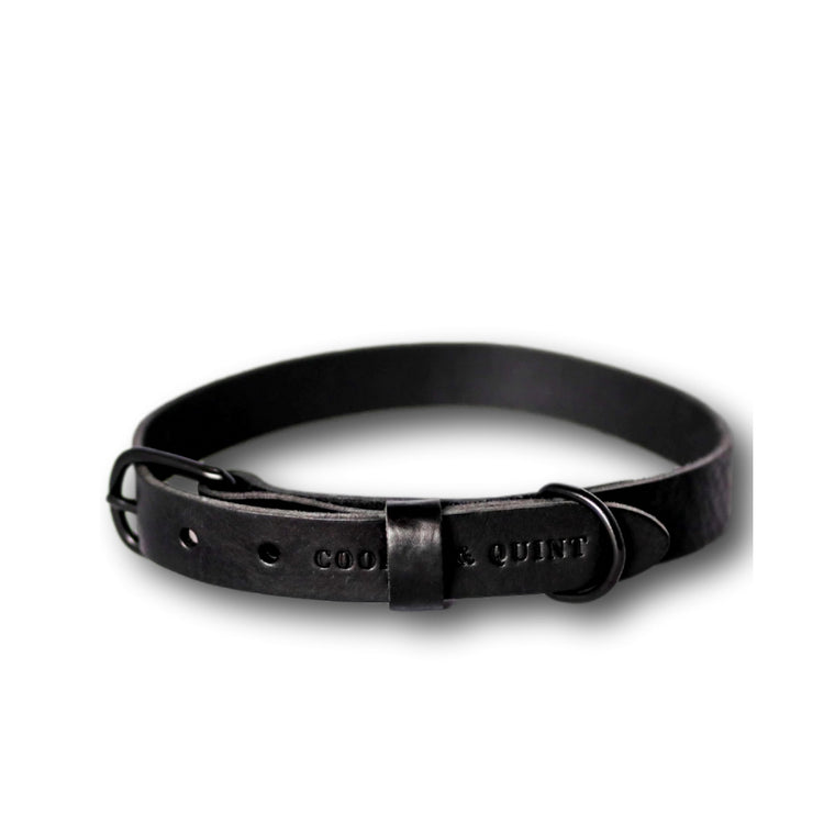 COOPER & QUINT | No Fuss Leather Collar - All Black