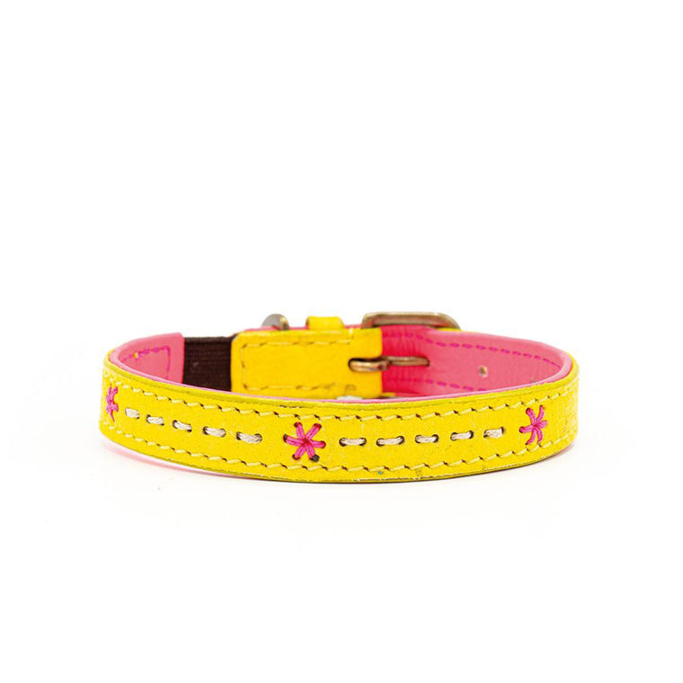 DWAM | Ollie Cat Collar