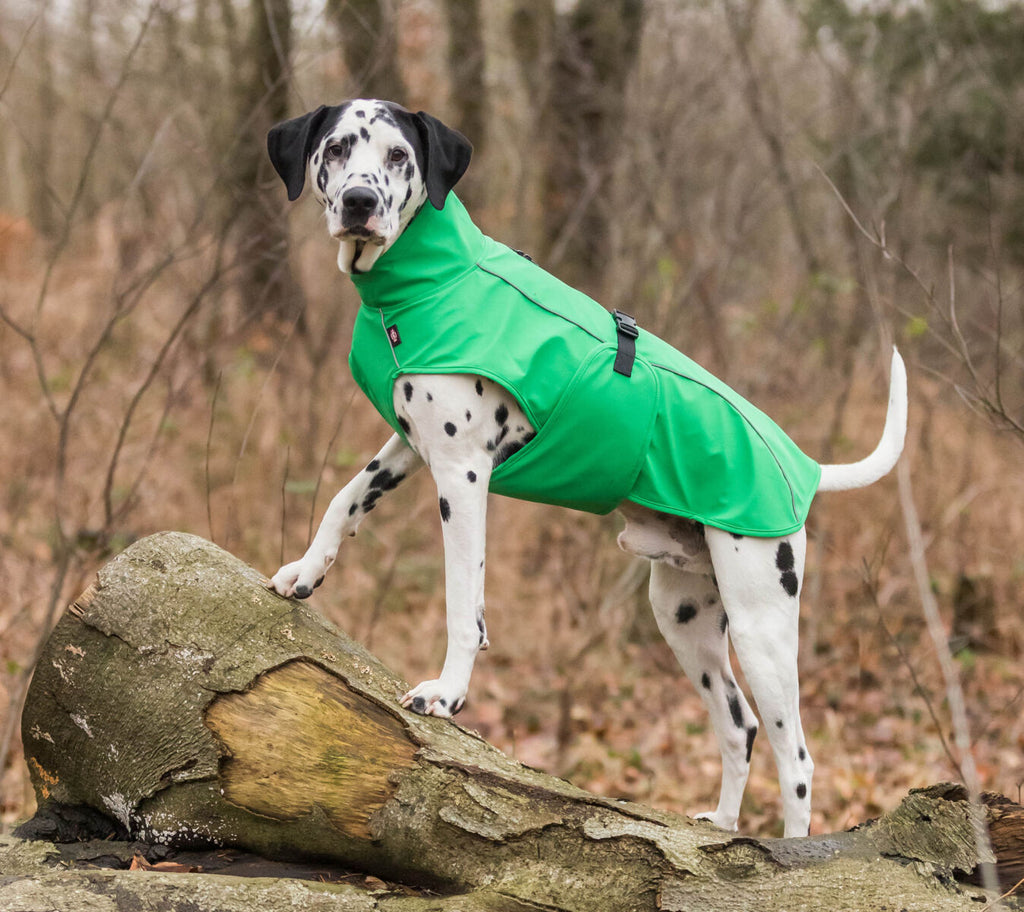 VIMY | Regenjas - Groen