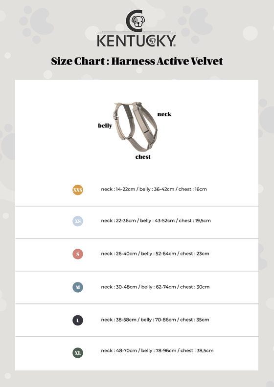 KENTUCKY DOGWEAR | Active Velvet Harnas - Zwart