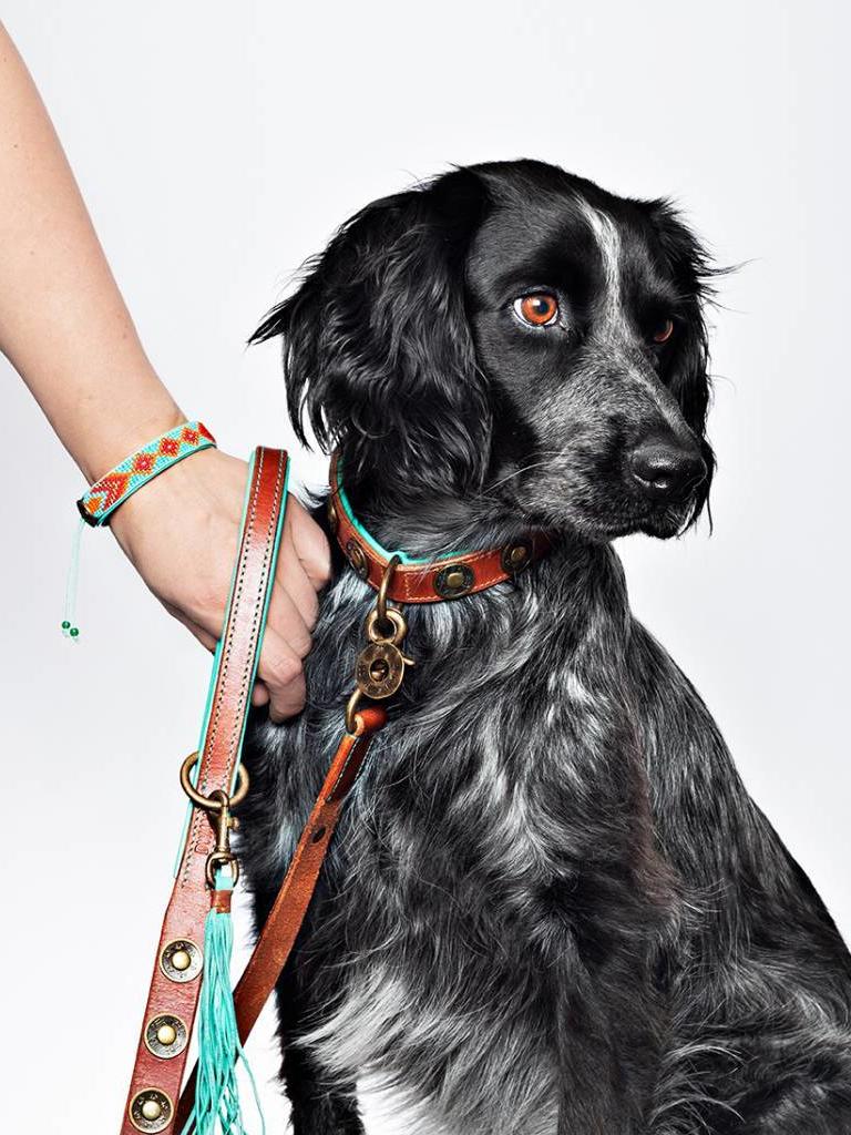 DWAM | Halsband - Urban