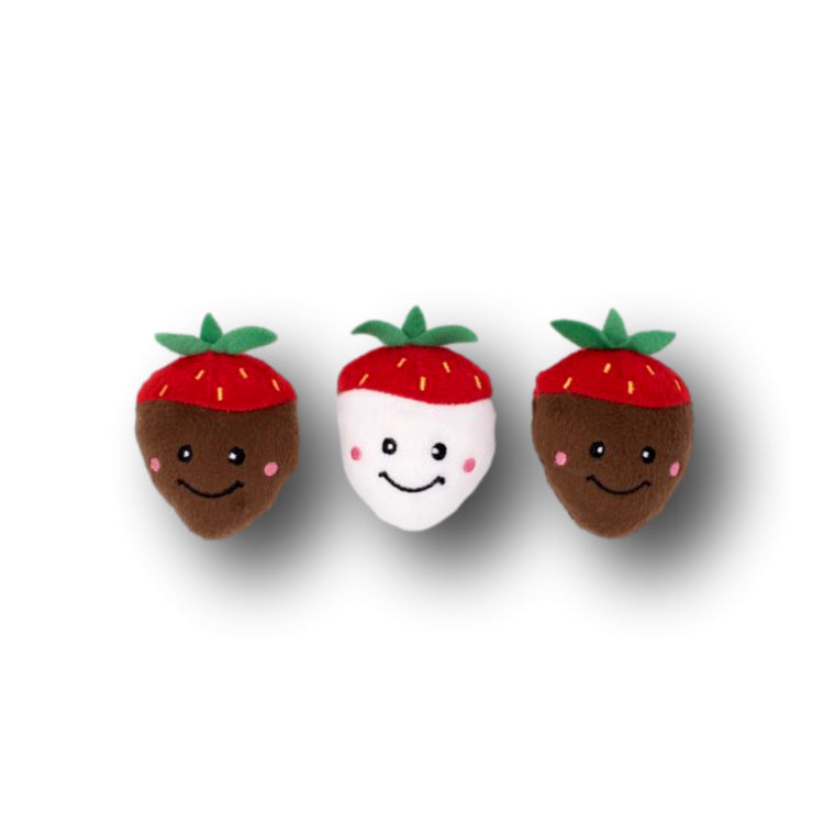 ZIPPYPAWS | Chocolate Covered Strawberries